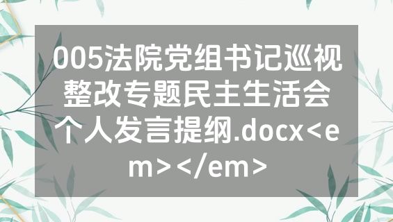 005法院党组书记巡视整改专题民主生活会个人发言提纲.docx<em></em>