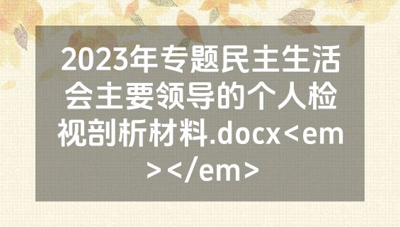 2023年专题民主生活会主要领导的个人检视剖析材料.docx<em></em>