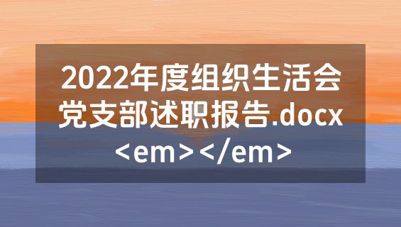 2022年度组织生活会党支部述职报告.docx<em></em>