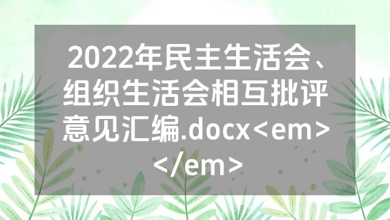 2022年民主生活会、组织生活会相互批评意见汇编.docx<em></em>
