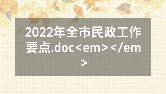 2022年全市民政工作要点.doc<em></em>