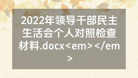 2022年领导干部民主生活会个人对照检查材料.docx<em></em>