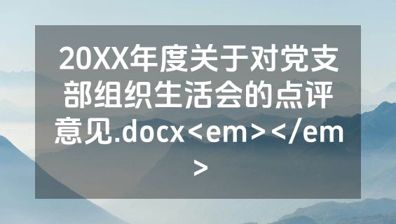 20XX年度关于对党支部组织生活会的点评意见.docx<em></em>
