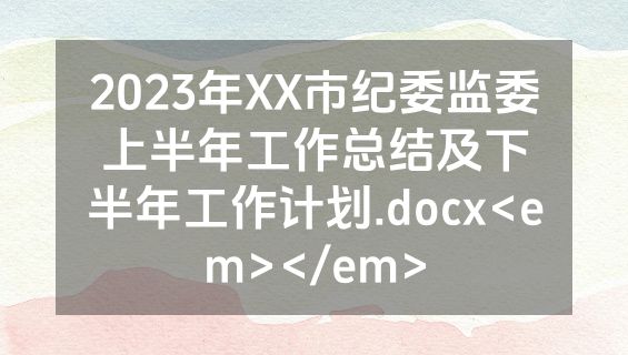 2023年XX市纪委监委上半年工作总结及下半年工作计划.docx<em></em>