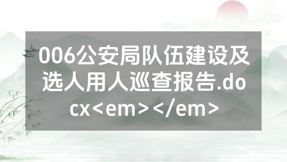 006公安局队伍建设及选人用人巡查报告.docx<em></em>