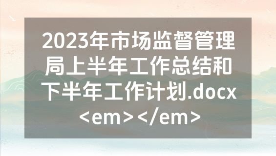 2023年市场监督管理局上半年工作总结和下半年工作计划.docx<em></em>