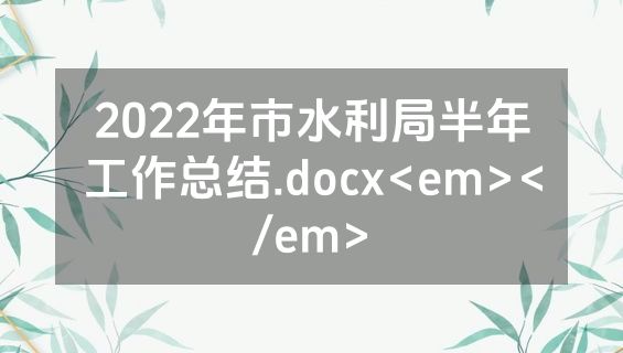 2022年市水利局半年工作总结.docx<em></em>