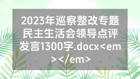 2023年巡察整改专题民主生活会领导点评发言1300字.docx<em></em>