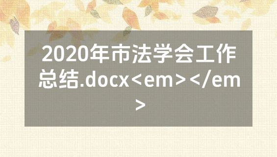 2020年市法学会工作总结.docx<em></em>