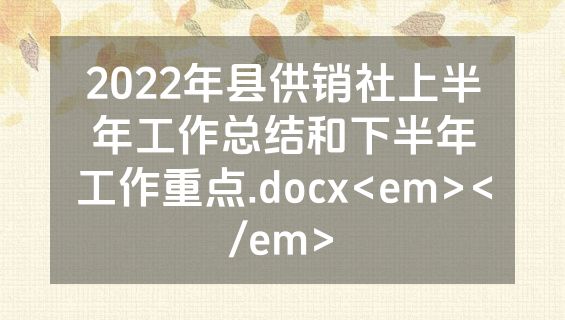 2022年县供销社上半年工作总结和下半年工作重点.docx<em></em>