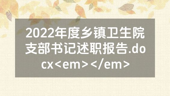 2022年度乡镇卫生院支部书记述职报告.docx<em></em>