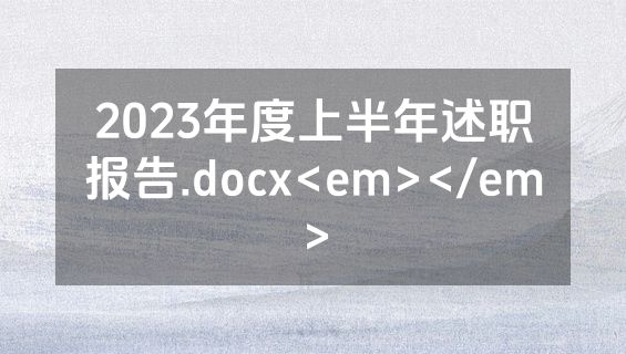 2023年度上半年述职报告.docx<em></em>