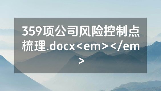 359项公司风险控制点梳理.docx<em></em>