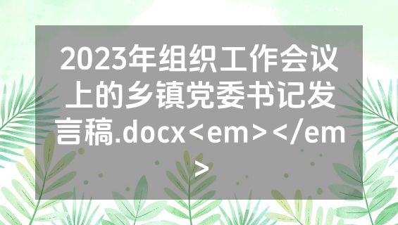 2023年组织工作会议上的乡镇党委书记发言稿.docx<em></em>