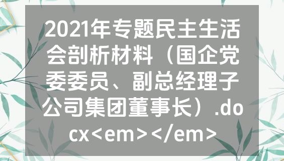 2021年专题民主生活会剖析材料（国企党委委员、副总经理子公司集团董事长）.docx<em></em>