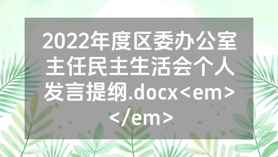 2022年度区委办公室主任民主生活会个人发言提纲.docx<em></em>