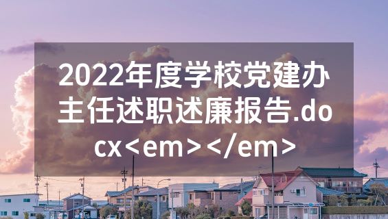 2022年度学校党建办主任述职述廉报告.docx<em></em>