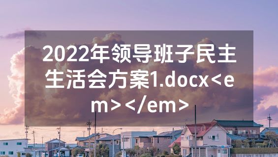 2022年领导班子民主生活会方案1.docx<em></em>