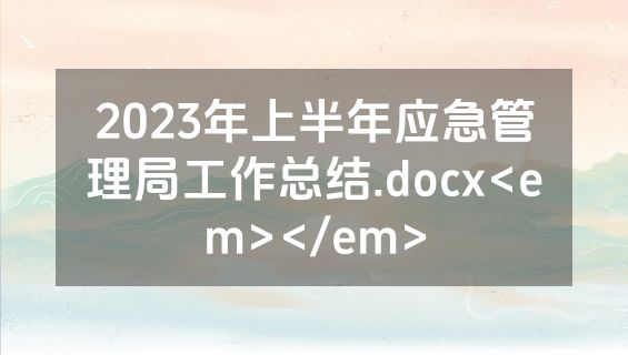 2023年上半年应急管理局工作总结.docx<em></em>