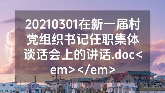 20210301在新一届村党组织书记任职集体谈话会上的讲话.doc<em></em>