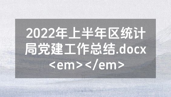2022年上半年区统计局党建工作总结.docx<em></em>