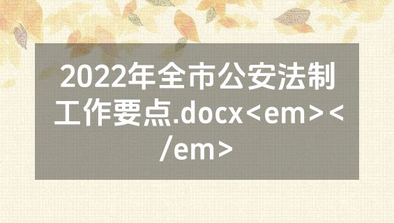 2022年全市公安法制工作要点.docx<em></em>