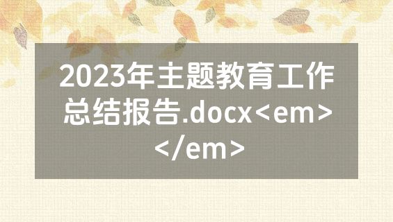 2023年主题教育工作总结报告.docx<em></em>