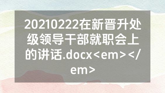 20210222在新晋升处级领导干部就职会上的讲话.docx<em></em>