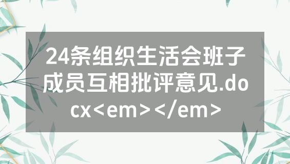 24条组织生活会班子成员互相批评意见.docx<em></em>