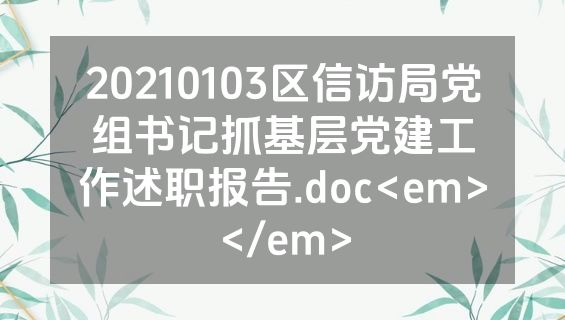 20210103区信访局党组书记抓基层党建工作述职报告.doc<em></em>