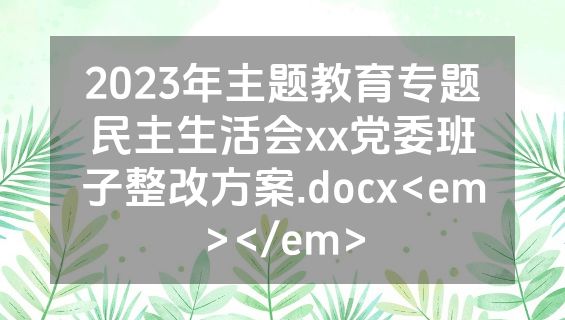 2023年主题教育专题民主生活会xx党委班子整改方案.docx<em></em>