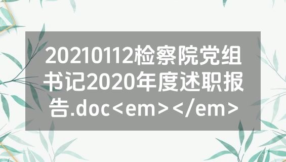 20210112检察院党组书记2020年度述职报告.doc<em></em>