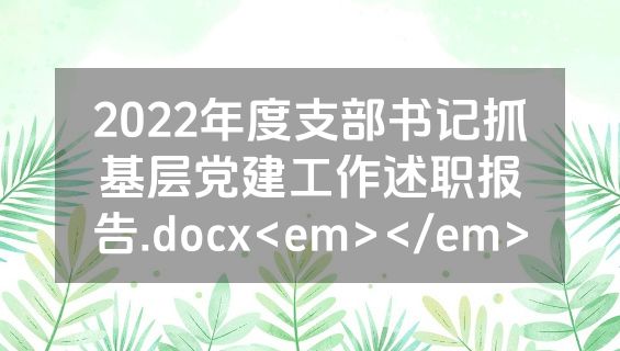 2022年度支部书记抓基层党建工作述职报告.docx<em></em>