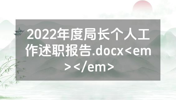 2022年度局长个人工作述职报告.docx<em></em>