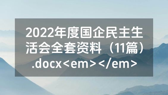 2022年度国企民主生活会全套资料（11篇）.docx<em></em>