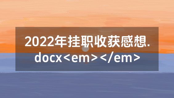 2022年挂职收获感想.docx<em></em>