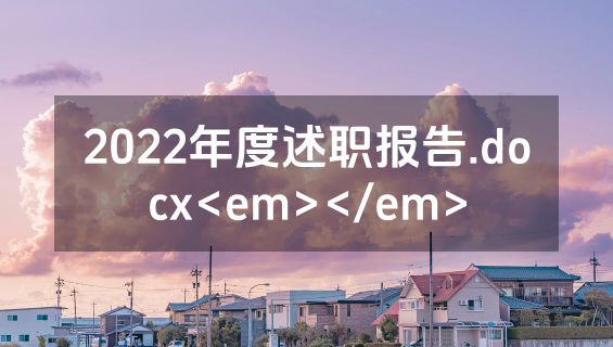 2022年度述职报告.docx<em></em>