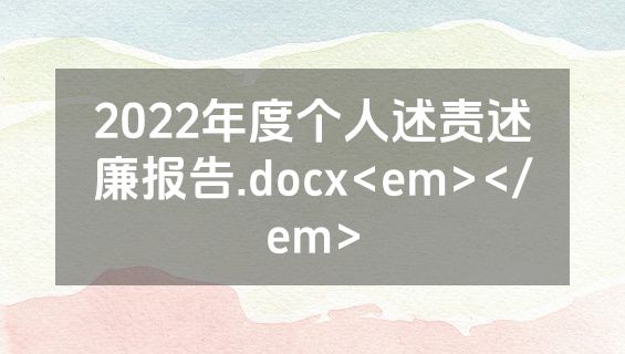 2022年度个人述责述廉报告.docx<em></em>