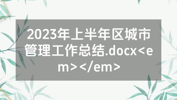 2023年上半年区城市管理工作总结.docx<em></em>