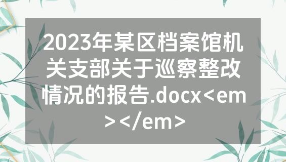 2023年某区档案馆机关支部关于巡察整改情况的报告.docx<em></em>