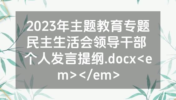 2023年主题教育专题民主生活会领导干部 个人发言提纲.docx<em></em>