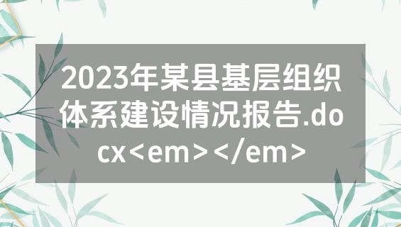 2023年某县基层组织体系建设情况报告.docx<em></em>