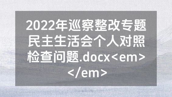 2022年巡察整改专题民主生活会个人对照检查问题.docx<em></em>