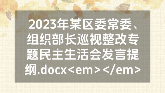 2023年某区委常委、组织部长巡视整改专题民主生活会发言提纲.docx<em></em>
