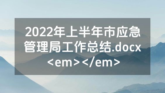 2022年上半年市应急管理局工作总结.docx<em></em>