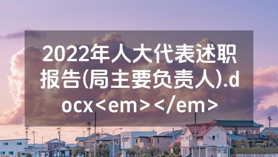 2022年人大代表述职报告(局主要负责人).docx<em></em>