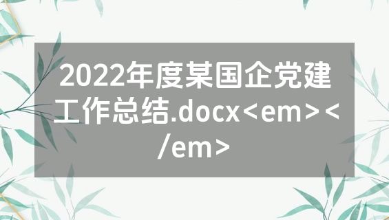 2022年度某国企党建工作总结.docx<em></em>