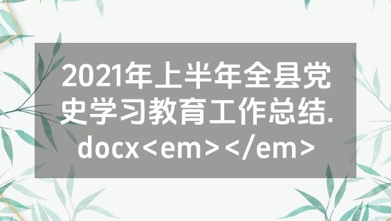 2021年上半年全县党史学习教育工作总结.docx<em></em>
