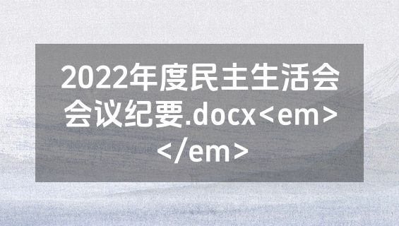 2022年度民主生活会会议纪要.docx<em></em>