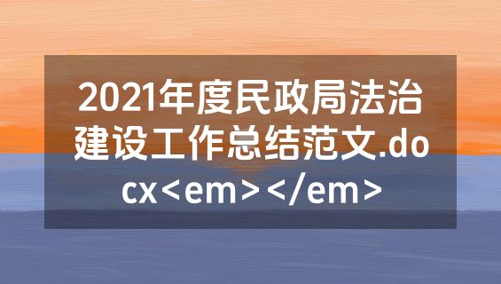 2021年度民政局法治建设工作总结范文.docx<em></em>
